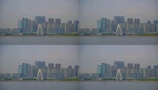 8K深圳欢乐港湾鸬鹚35高清在线视频素材下载