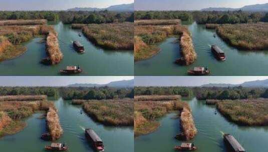 杭州西溪湿地秋意浓航拍高清在线视频素材下载