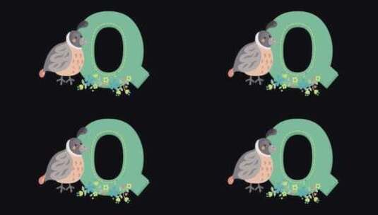 动物字母Q动画高清在线视频素材下载