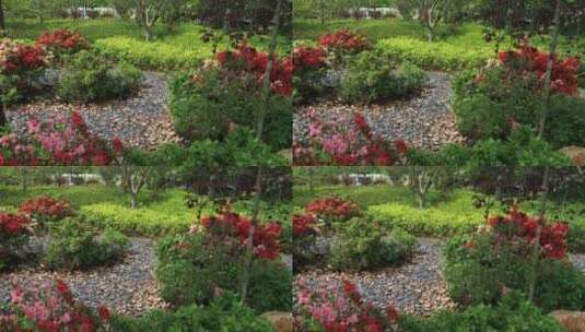 阳光户外花园庭院设计花境设计高清在线视频素材下载