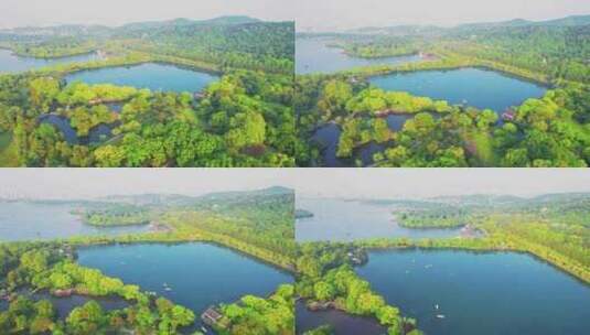 江南杭州西湖城市湿地苏堤春天自然风景航拍高清在线视频素材下载