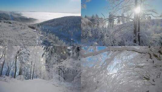 冬季雪域森林长白山雪后森林雾凇 合集高清在线视频素材下载