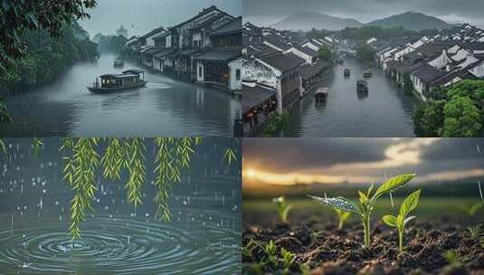 【合集】烟雨水乡 雨润大地高清在线视频素材下载