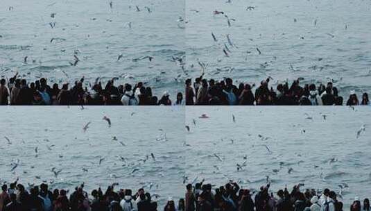 大海海面飞翔的海鸥高清在线视频素材下载