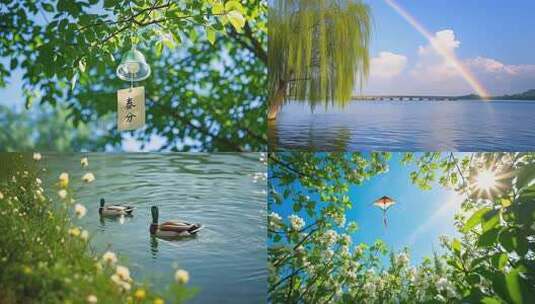 春分时节踏青赏花高清在线视频素材下载