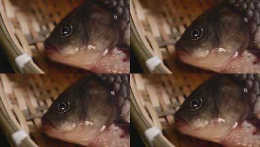 鲫鱼海鲜水产高清在线视频素材下载