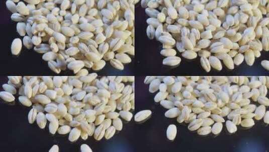 微距大麦麦子颗粒高清在线视频素材下载