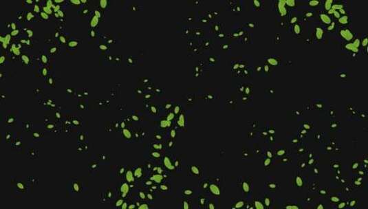 绿叶粒子飞舞动画高清在线视频素材下载