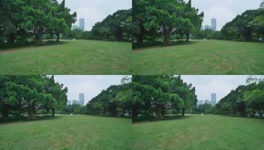 城市广场公园树林绿地草地草坪高清在线视频素材下载
