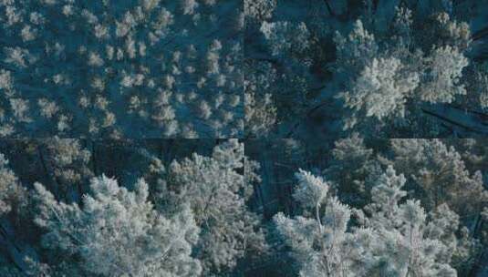 航炮冬天雪白的森林景观高清在线视频素材下载