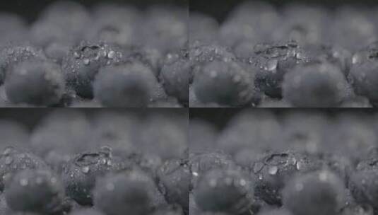 蓝莓影棚拍摄LOG高清在线视频素材下载