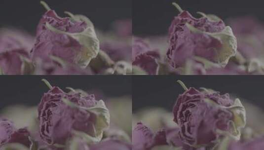 一朵干玫瑰LOG高清在线视频素材下载