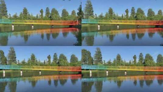 东湖湿地彩虹桥左摇高清在线视频素材下载