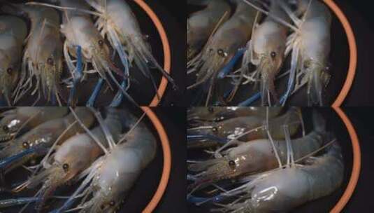 罗氏虾大头虾海鲜水产高清在线视频素材下载