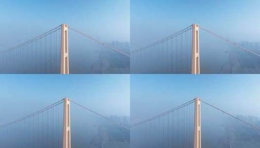 航拍云雾中的清晨杨泗港大桥高清在线视频素材下载
