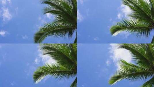 海南岛唯美自然风光高清在线视频素材下载