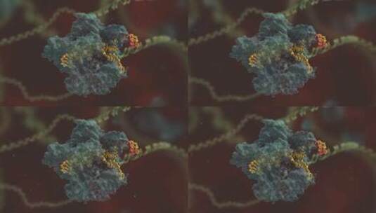 生物科学 基因编辑 DNA 基因工程 医学动画高清在线视频素材下载