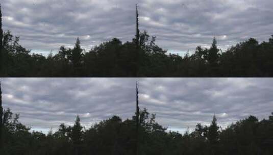 鸟儿飞过多云的天空高清在线视频素材下载