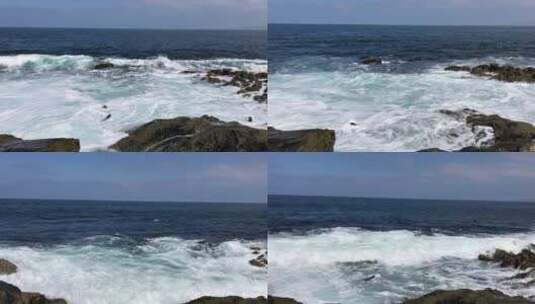 圣地亚哥的海滩海豹及海浪高清在线视频素材下载
