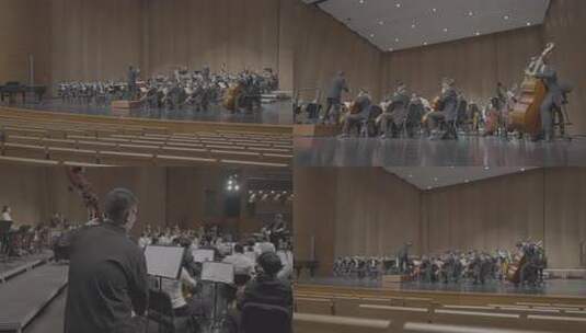 交响乐管弦乐指挥家音乐厅log素材高清在线视频素材下载
