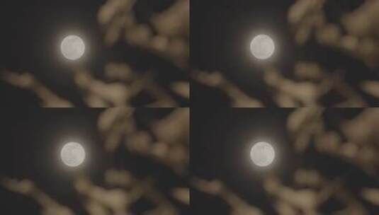 冬天月亮 雪景月亮 月亮意境高清在线视频素材下载