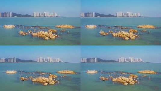 航拍午后礁石上的海鸟高清在线视频素材下载