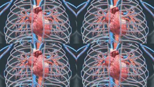 医学人体奥秘器官心脏三维动画高清在线视频素材下载