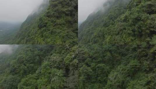 四川邛崃天台山航拍高山云雾风景高清在线视频素材下载
