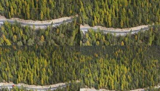 秋天公路和森林的鸟瞰图。意大利白云石阿尔卑斯山。森林和道路。高清在线视频素材下载