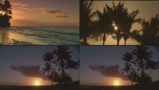 朝阳下的海岸高清在线视频素材下载