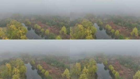 秋季晨雾缭绕的彩林河流高清在线视频素材下载