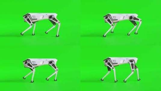 机械狗和绿幕场景高清在线视频素材下载
