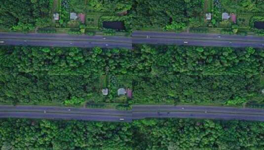 公路运输的卡车树林贯穿森林的道路高速公路高清在线视频素材下载
