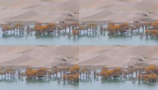 航拍秋天的新疆葫芦岛风景高清在线视频素材下载