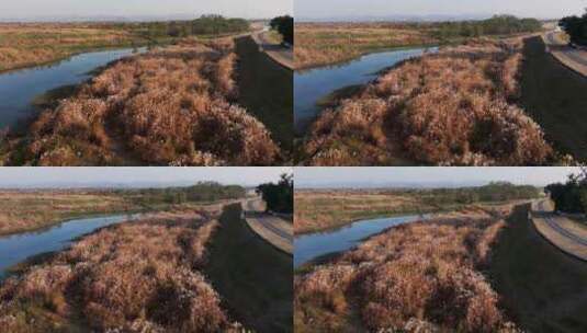 杭州余杭区北湖草荡湿地秋天风光航拍高清在线视频素材下载