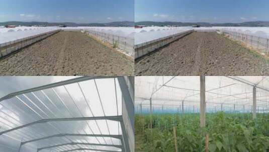 新农村新农业成片的塑料大棚种植基地（1）高清在线视频素材下载
