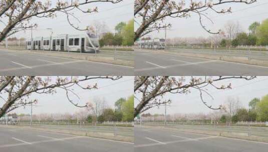 清晨苏州科技城樱花盛开 行使主题有轨电车高清在线视频素材下载