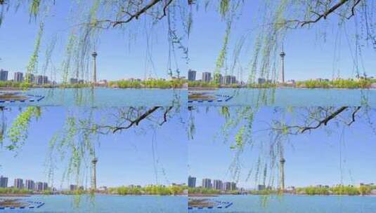 北京玉渊潭公园春天湖面蓝天柳树风光高清在线视频素材下载