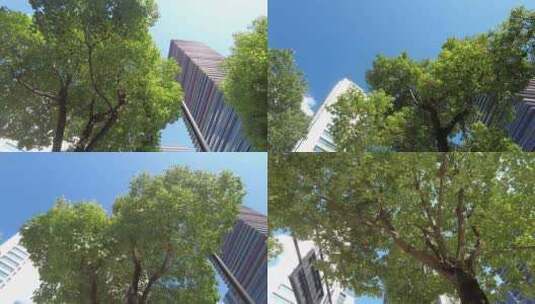 仰望城市的高楼大厦镜头高清在线视频素材下载
