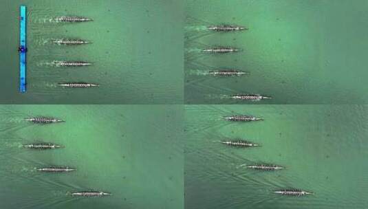 海珠湿地公园广佛龙舟联赛航拍高清4K视频高清在线视频素材下载