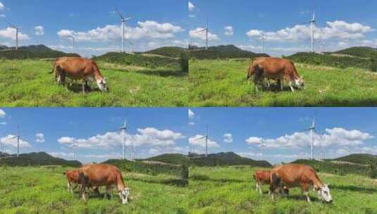 绿色高山牧场牛吃草风车风力发电高清在线视频素材下载