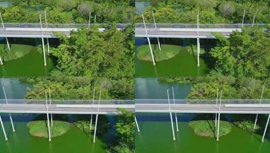 海南三亚东岸湿地公园公园航拍城市生态绿道高清在线视频素材下载