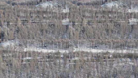 穿越大兴安岭林海雪原冻土雾凇地带的绿皮火车 (1)高清在线视频素材下载