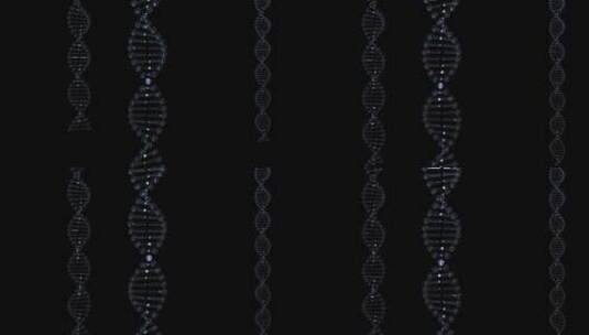 DNA 遗传物质 基因库高清AE视频素材下载