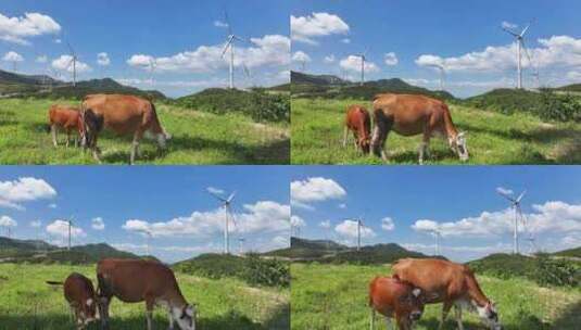 绿色高山牧场牛吃草风车风力发电高清在线视频素材下载