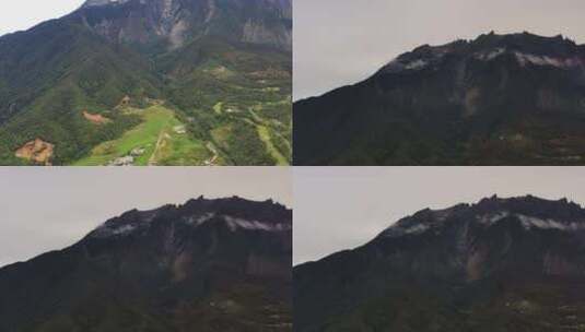 高山草原去层奶牛枚场草丛绿地高清在线视频素材下载