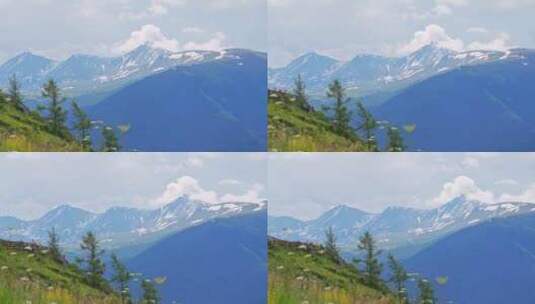 新疆北疆阿勒泰喀纳斯夏天雪山山脉自然风景高清在线视频素材下载