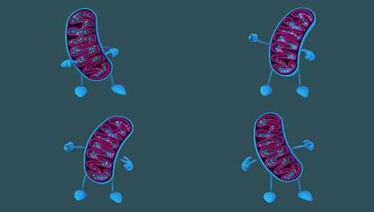 有趣的3D卡通线粒体（包括alpha通道高清在线视频素材下载