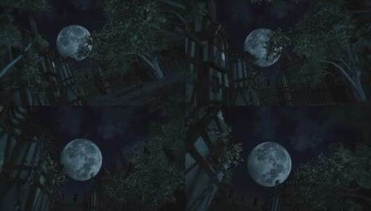 夜空中的满月高清在线视频素材下载