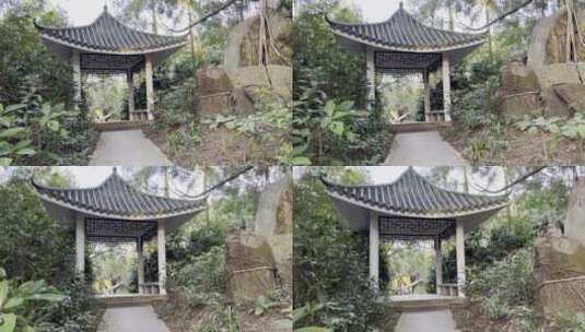 深圳东湖公园高清在线视频素材下载
